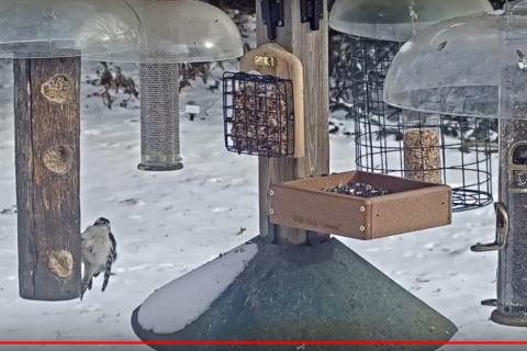 Card image cap